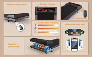 Key Features